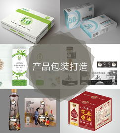 專業(yè)企業(yè)形象設(shè)計服務(wù) 標(biāo)志、VI、廣告與印刷一體化解決方案